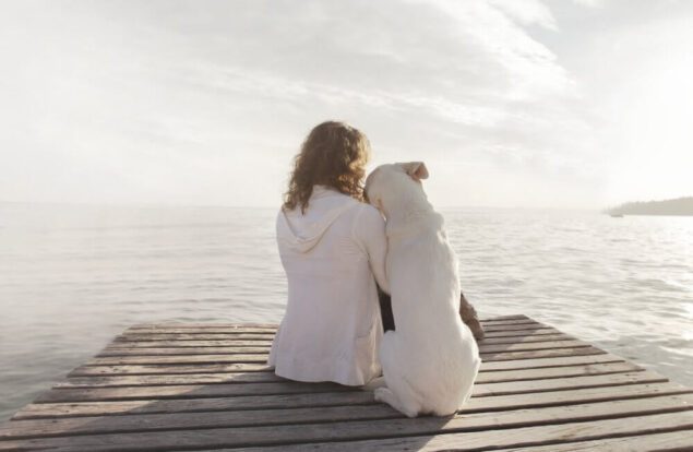 emotional support animals